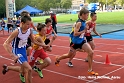 Z299 mg_final